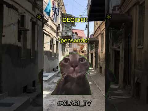 #naoflopa #gatos #capcut #shorts #memes #viralshorts #fypシ゚ #fypシ゚viral #vaipraforyou