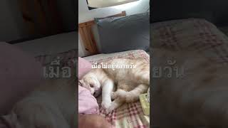 11 พฤษภาคม 2569