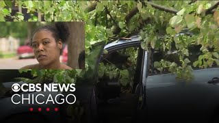 Good Samaritan recalls helping woman after tree slams on SUV in Evanston