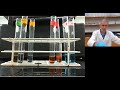 Exploring Biomolecules in Bio141 Lab