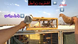 اشتريت زواجل مخاليف 😁 وقفص فكات