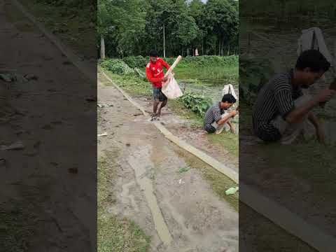 করছে কি