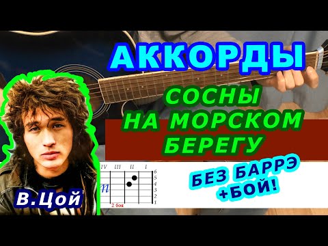 СОСНЫ НА МОРСКОМ БЕРЕГУ Аккорды 🎸 ЦОЙ группа КИНО ♪ Разбор песни на гитаре БЕЗ БАРРЭ ♫Для начинающих