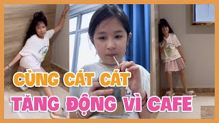 Thử cafe bọt biển tự làm, Cát Cát trở nên tăng động quá mức