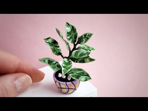 Miniature plant💚Polymer clay