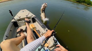 Kayak Fishing Hidden Waters for River Beasts!