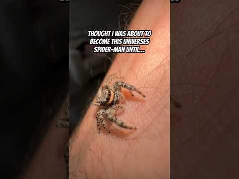 I was about to become Spider-Man…