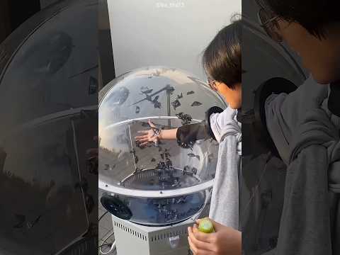 Building Wooden Log Cabin in Forest ðð | Survival House Step by Step "9 #shorts #facts