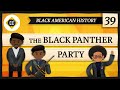 Exploring the Impact of the Black Panther Party
