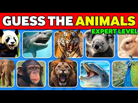 Guess The Animals in 3 Seconds - Expert Wildlife Quiz