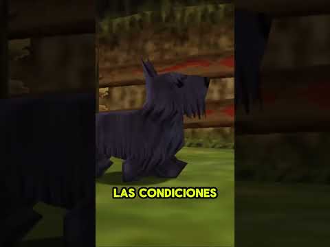 It took 25 years for the dog to do the impossible in Zelda #zeldamajorasmask