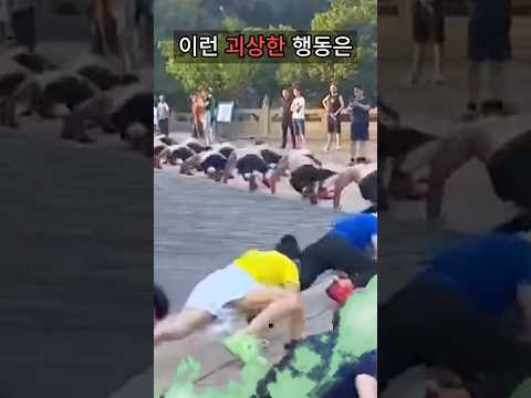 사람이 네발로 걸어야 하는 이유