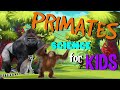 Primate Characteristics and Behaviors