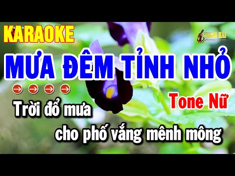 Karaoke Mưa Đêm Tỉnh Nhỏ Tone Nữ Nhạc Trữ Tình Rumba Dễ Hát | Thanh Hải