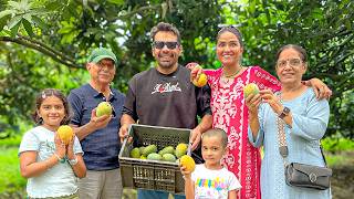 Our Mango Farm | Flying Beast