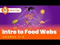 Exploring Food Chains and Webs for Young Learners