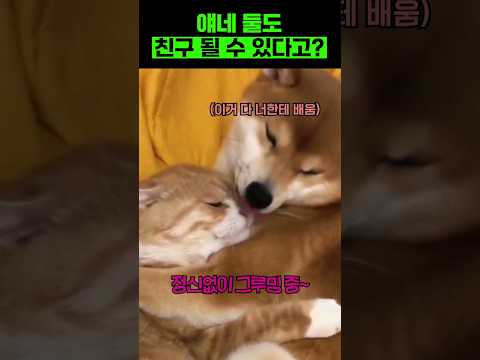 절친이 되어가는 과정