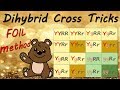 Dihybrid Cross Concepts and Ratios