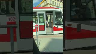 V Brně mají šalinu 🚋