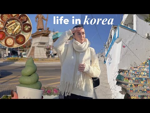 KOREA VLOG ☕️ a cozy winter day in YEOSU (temple stay, cafe streets + slow solo time)