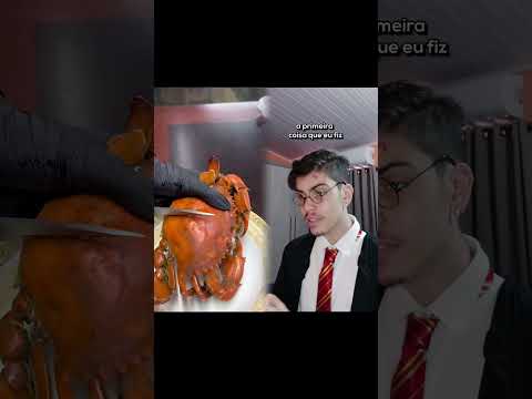 o dia que eu fui de Harry Potter pra escola
