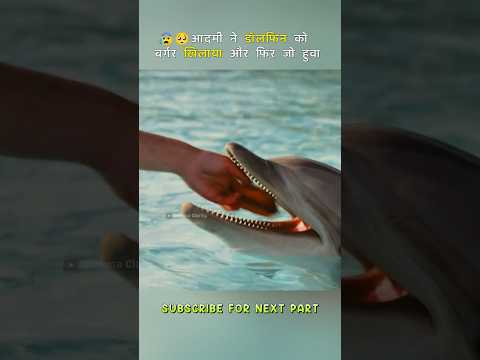 ๐ฐ Dolphin Trusted a Foolish Man and Paid the Price #shorts