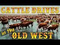 Cattle Drives and Their Historical Significance