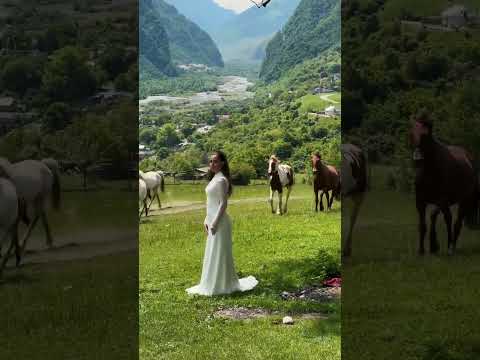 #wedding а жених подождёт😅😅 #приданое #bride #ведущиймихаилзайцев #свадьба #шуточное #weddingdress