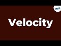 Understanding Speed, Velocity, and Average Velocity