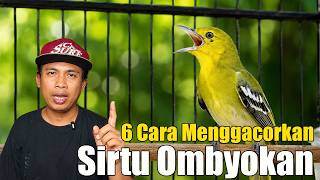 TERBONGKAR... SIRTU OMBYOKAN SUSAH BUNYI? COBA LAKUKAN 6 TIPS INI