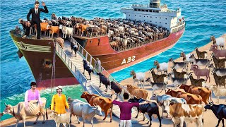 Ship Mein Cow Bakri Chor Illegal Transport Goat Thief Hindi Kahani Hindi Moral Stories Comedy Video