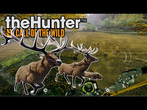 Rình rập con mồi từ trên cây - Thehunter call of the wild