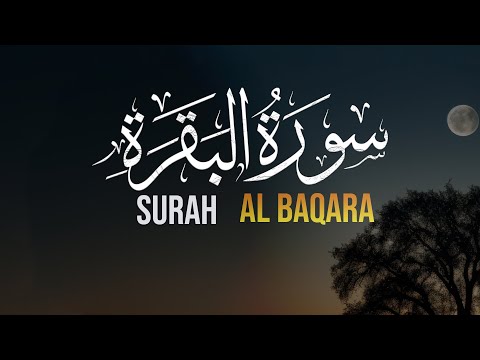 سورة البقرة كاملة برواية حفص | SURAH AL BAQARA Quran of Hafs Narration