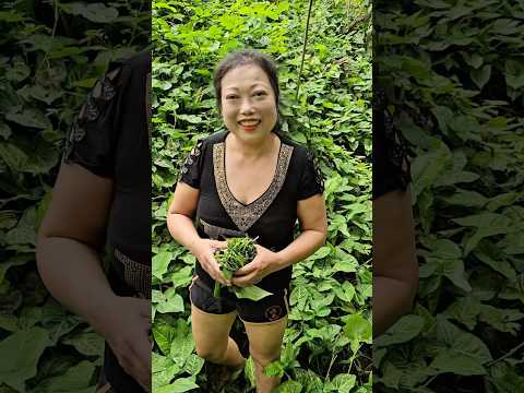 Của thiên trả địa, có 3 con ếch 🐸 thôi mà cũng k tha #cuoichutthoi #funny #cười #giaitri #haihuoc