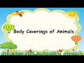 Animal Body Coverings and Adaptations