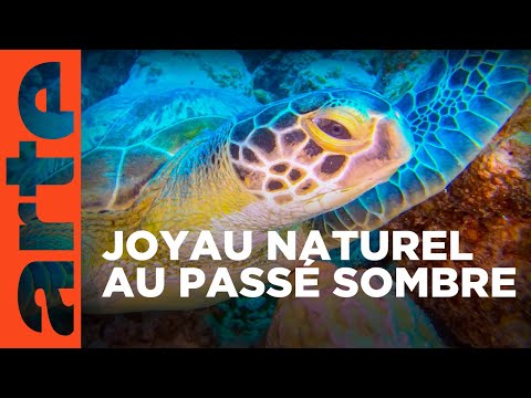 Île Maurice, Océan Indien | Des îles d'enfer ! | ARTE Family