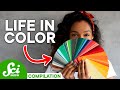 Understanding Colors and Vision