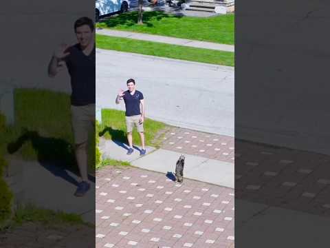 What Would You Do If You Saw This? ?