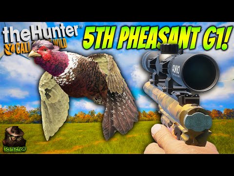 Hunting The Fabled Morganite Great One Pheasant With A HANDGUN! Call of the wild