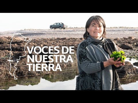 De la Patagonia al mundo: convirtió su amor por las algas en un reconocido desarrollo gastronómico