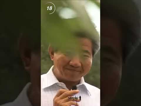 얘들아, 대통령 한 번 하고 싶어? #Shorts