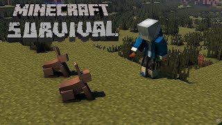 Resgatando Porcos indianos da queima florestal! (Já foram de arrasta)"Feat.porco do mato. |ep 12|