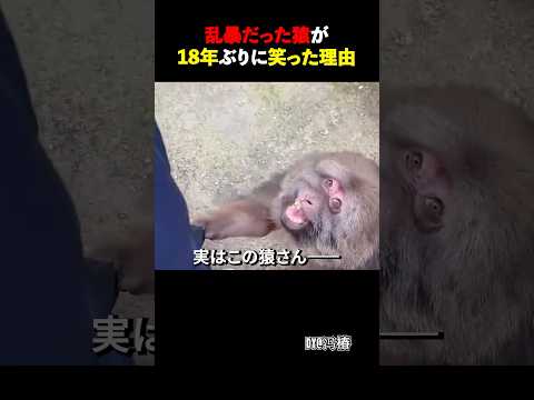 イジワルな猿を変わった理由は？