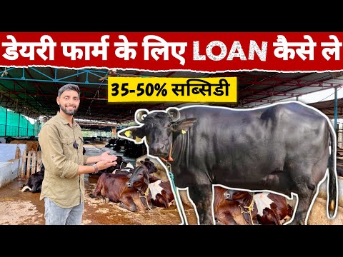 Dairy farm ke liye loan kaise milega ? सबसे आसान तरीका