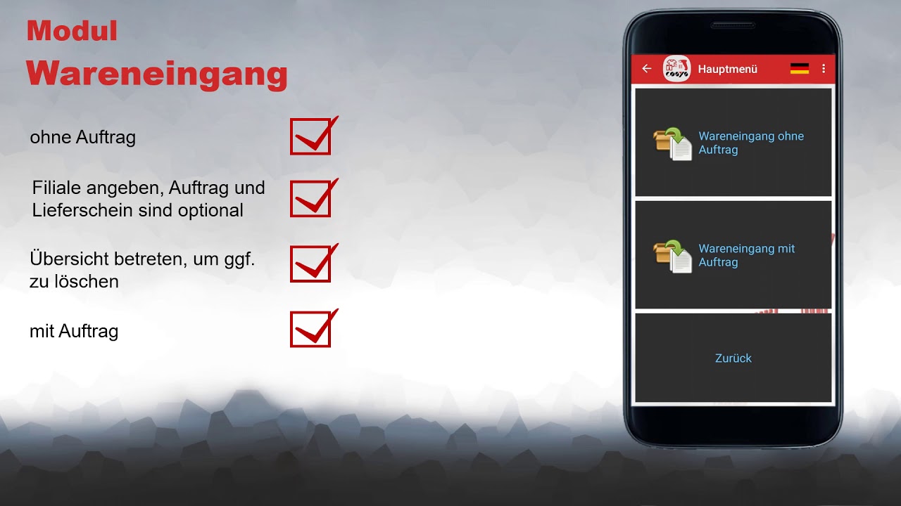 Wareneingang im Filiallager dokumentieren | COSYS POS Non Food Demo