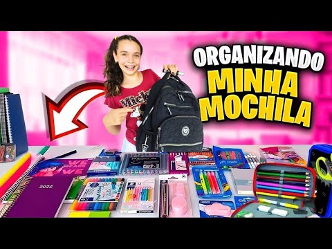 ORGANIZANDO MEUS MATERIAIS ESCOLARES 2025  *fiz um esconderijo secreto*