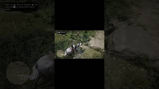 The Sheep and the Goats mission in Red Dead Redemption 2