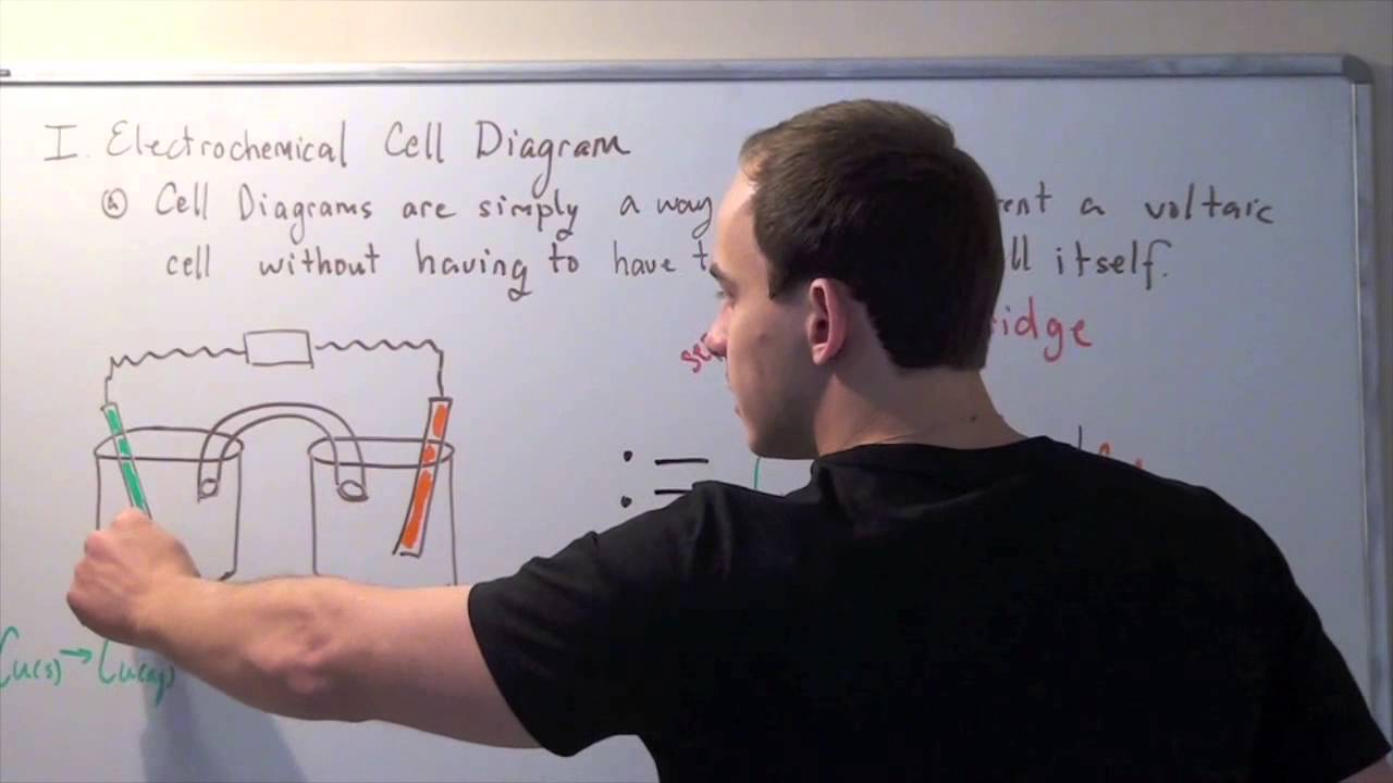 Cell Diagram