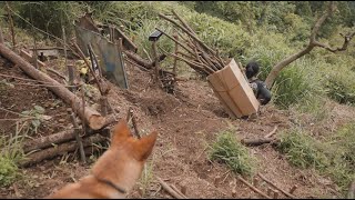 ポストアポカリプスな家庭菜園をさらにレベルアップさせる　おすすめの道具　背負子［終末を生き残るための活動記録］２