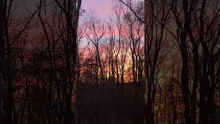 Another Beautiful Sunrise In The Treestand #archery #hunting #shorts #shortsfeed